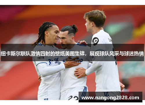 纽卡斯尔联队激情四射的壁纸美图集锦，展现球队风采与球迷热情
