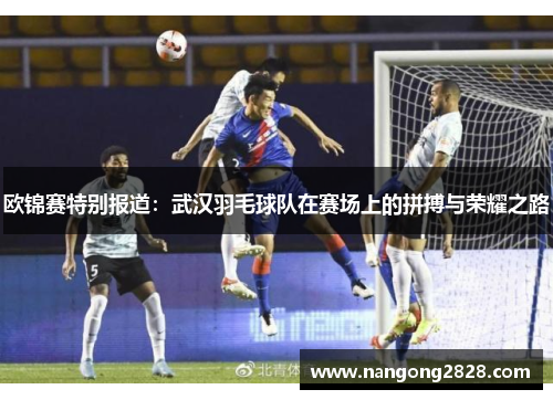 欧锦赛特别报道：武汉羽毛球队在赛场上的拼搏与荣耀之路